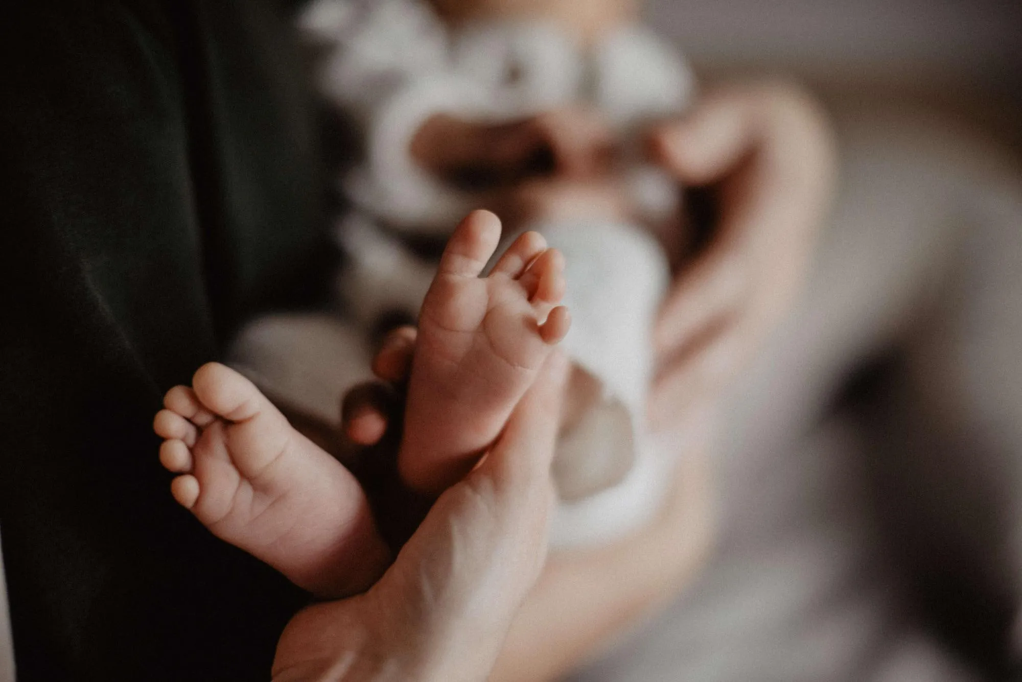 home family newborn 027