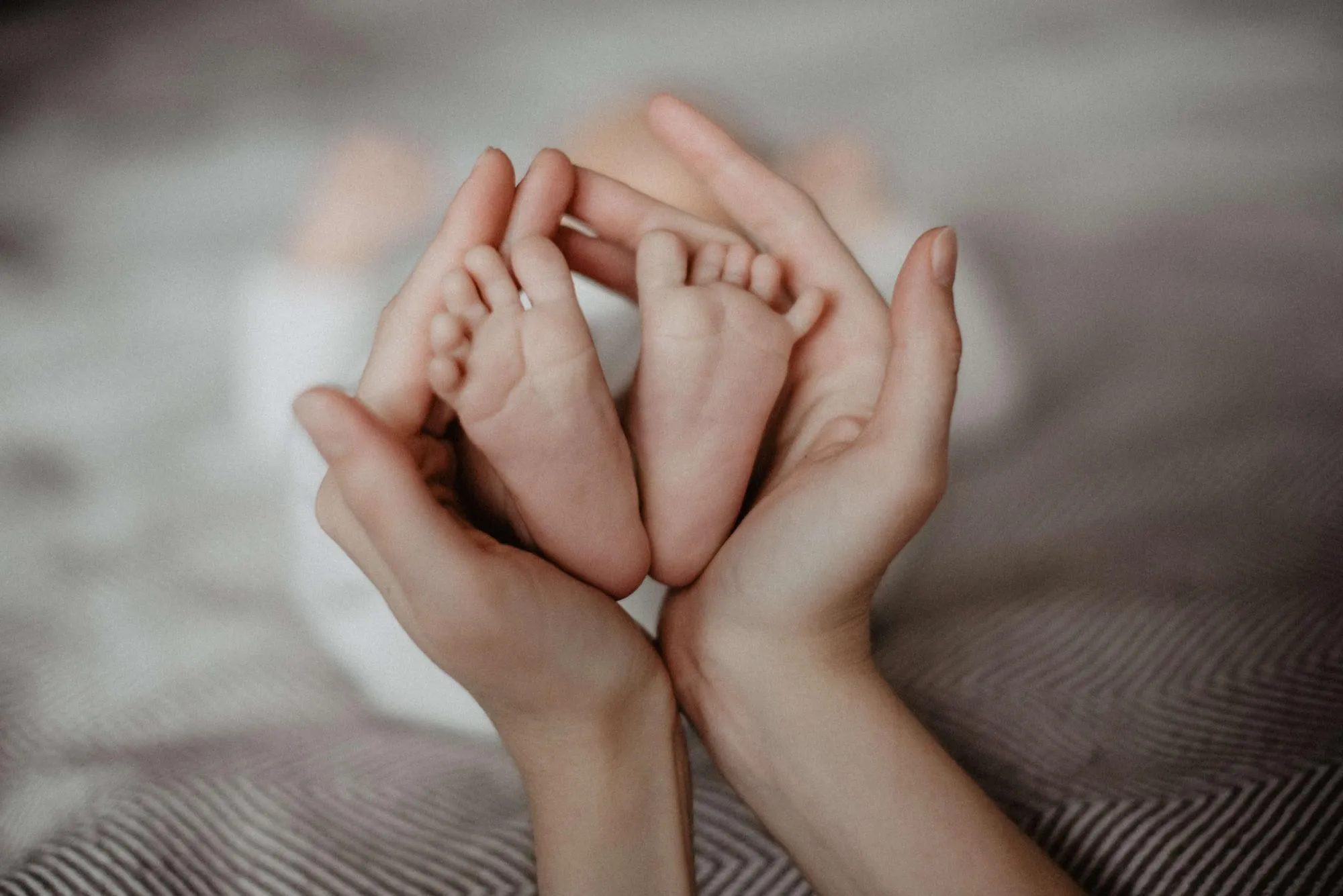 home family newborn 029