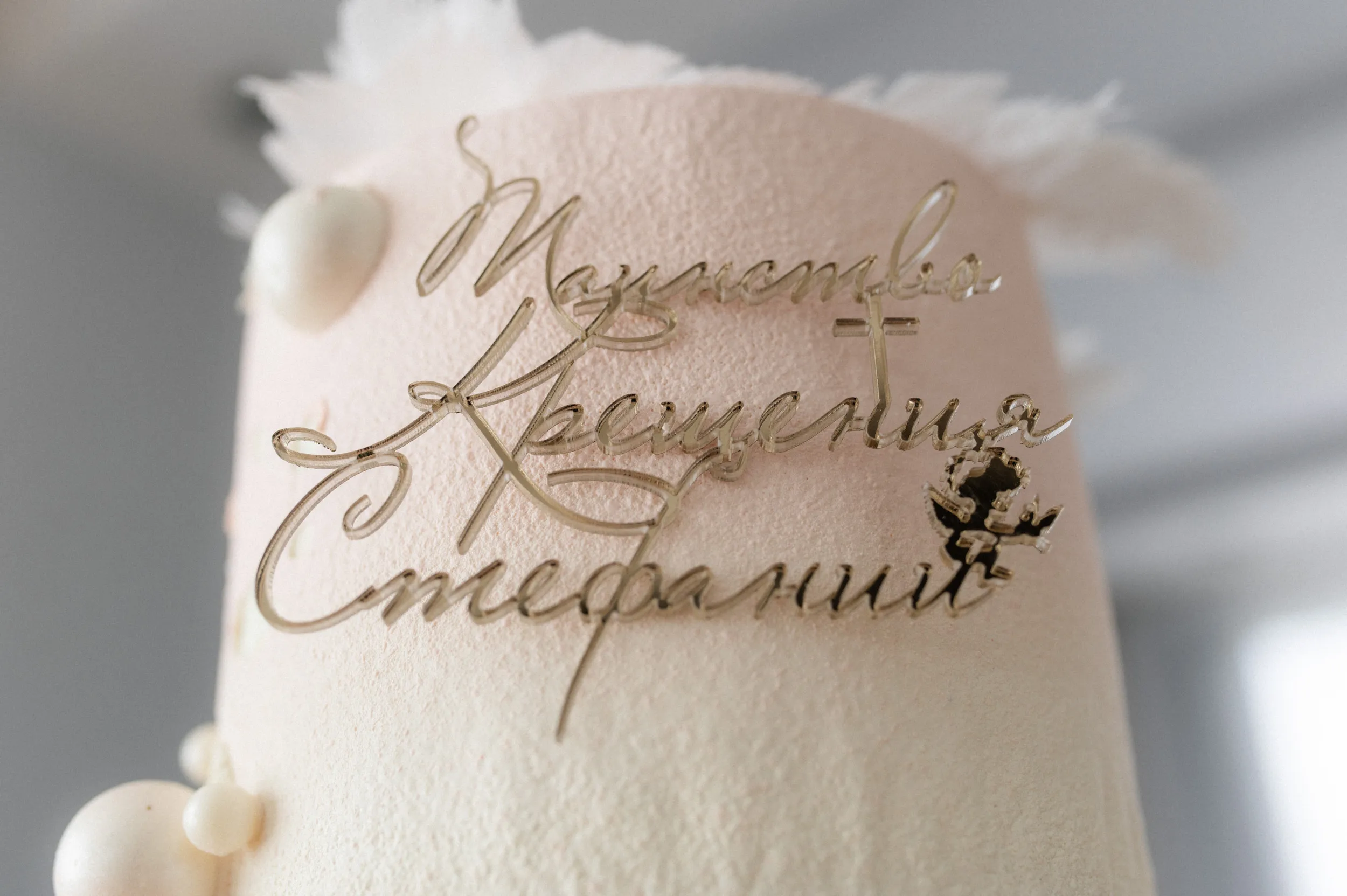 Таинство крещения Стефании — Церковь Рождества Пресвятой Богородицы в Образцово — фото 79